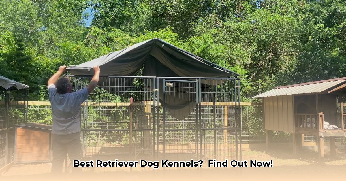 retriever-dog-kennel-tractor-supply